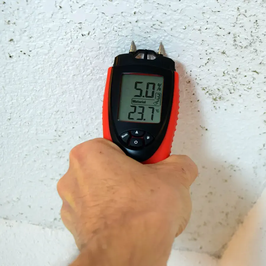 Moisture meter reading taken on a wall during a Redmond water damage dry-out